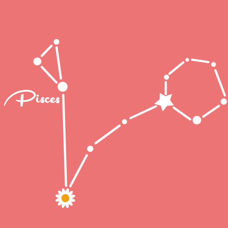 Mystichot Custom Embroidered Constellation Sweatshirt/Hoodie