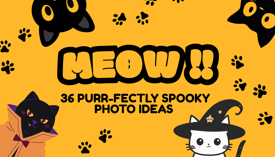 36 Purr-fect Cat Halloween Captions for Your Costume Photos
