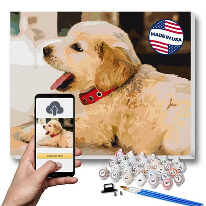 Custom DIY Paint by Numbers Kit: Easy Art Fun!