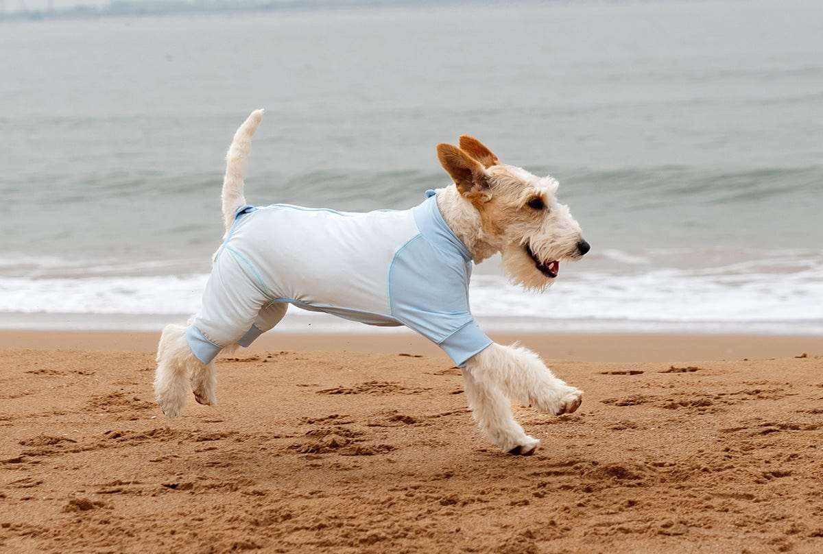 New Arrivals Cooling Ice Silk Dog Jumpsuit UPF50+ outdoors jacket for pets