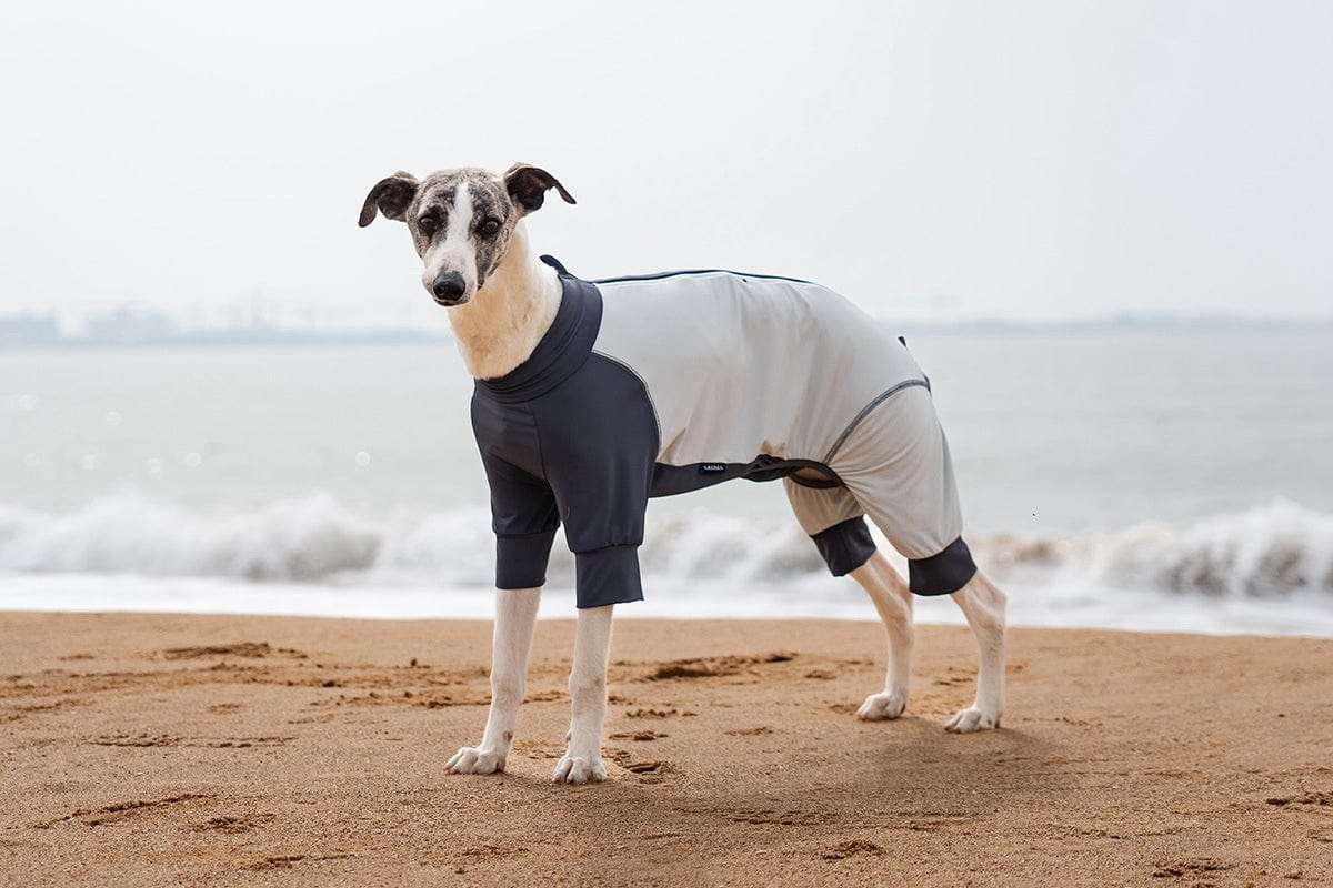New Arrivals Cooling Ice Silk Dog Jumpsuit UPF50+ outdoors jacket for pets