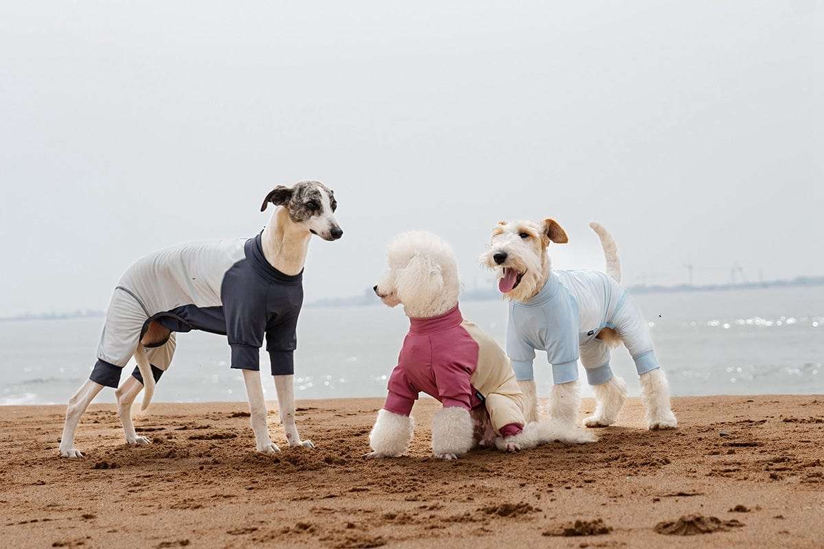 New Arrivals Cooling Ice Silk Dog Jumpsuit UPF50+ outdoors jacket for pets