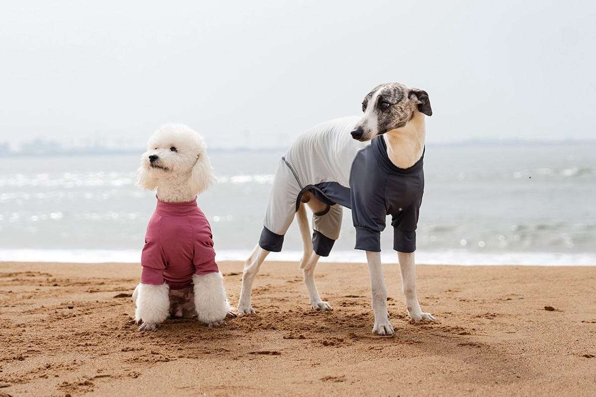 New Arrivals Cooling Ice Silk Dog Jumpsuit UPF50+ outdoors jacket for pets