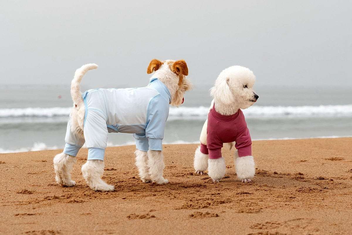 New Arrivals Cooling Ice Silk Dog Jumpsuit UPF50+ outdoors jacket for pets