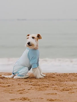 New Arrivals Cooling Ice Silk Dog Jumpsuit UPF50+ outdoors jacket for pets