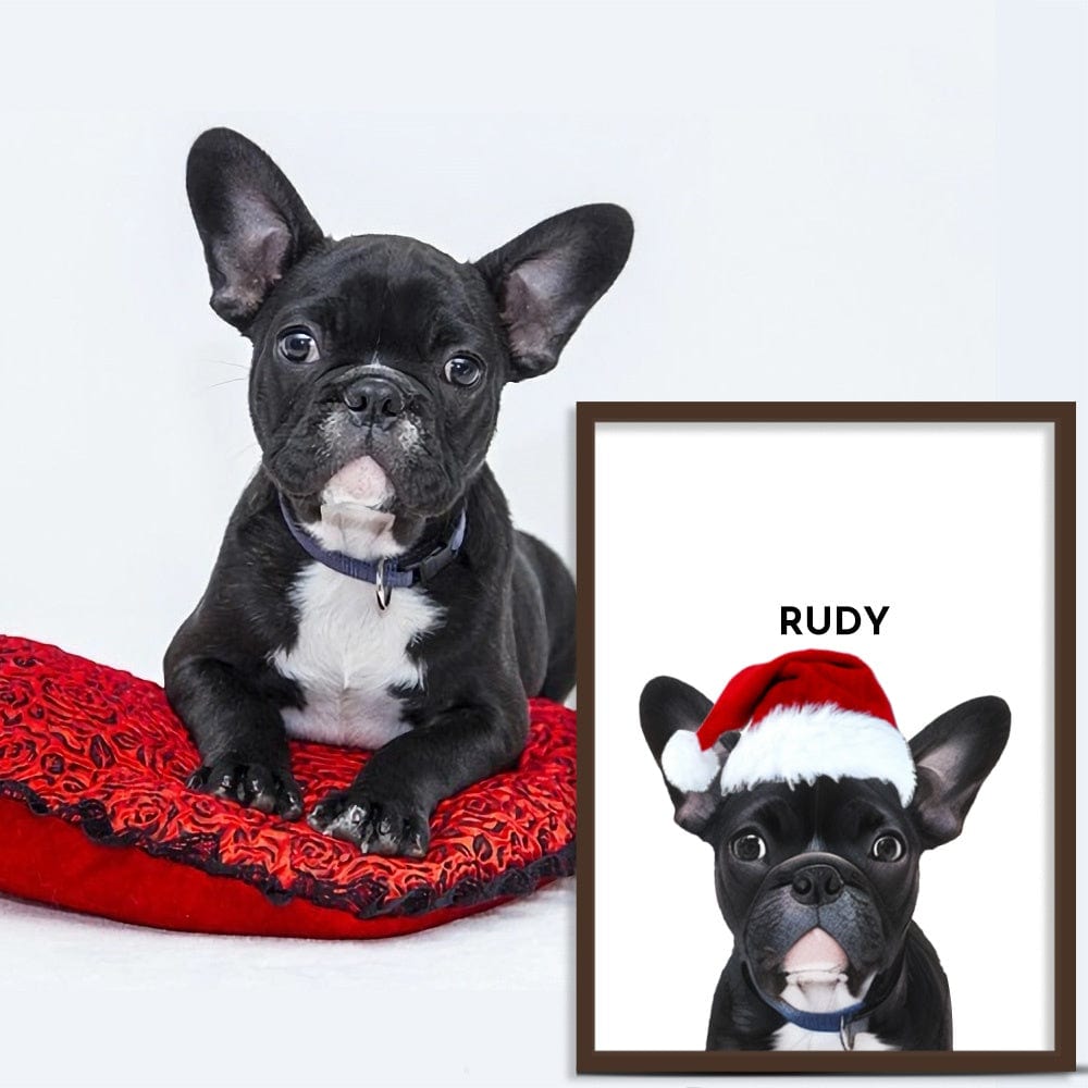 Pet Christmas Portraits